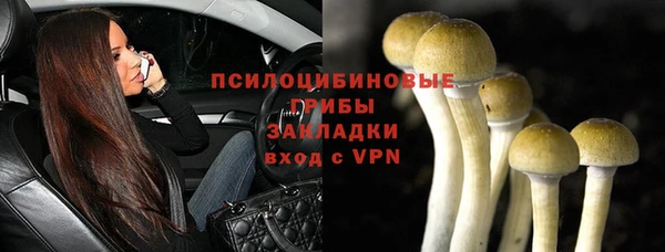 трава Пестово