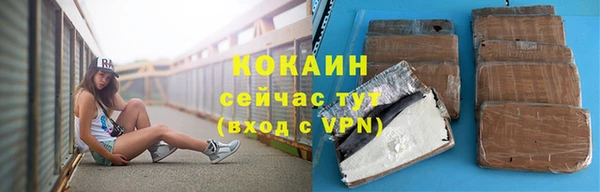 шишки Пересвет