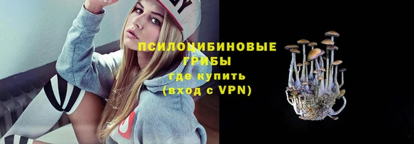 шишки Пересвет