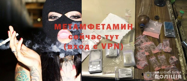 шишки Пересвет