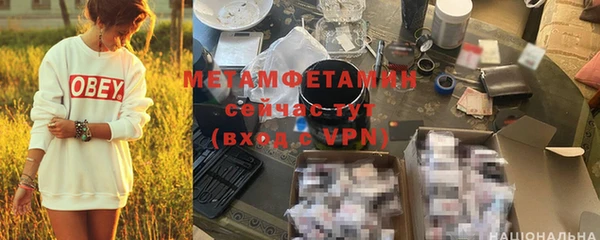 шишки Пересвет