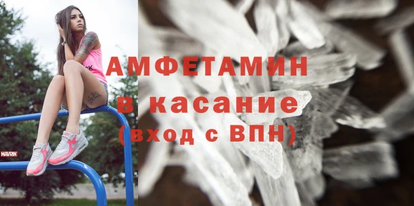 шишки Пересвет