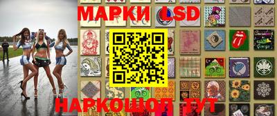apvp Камышлов