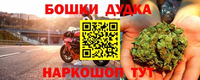 apvp Камышлов
