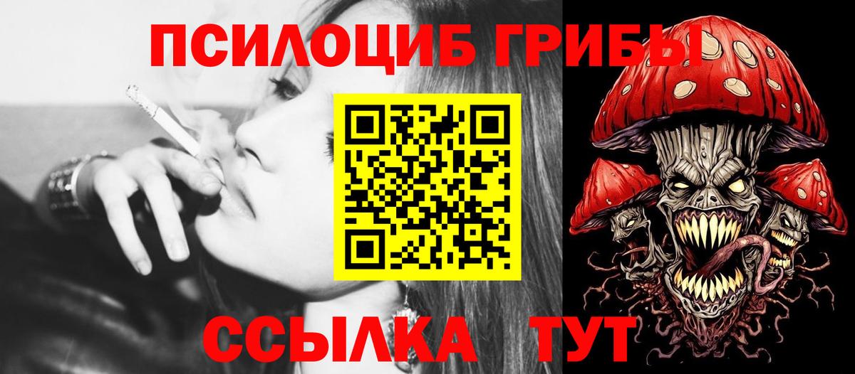 как найти закладки  Вход с VPN  Торжок  Псилоцибиновые грибы Cubensis 